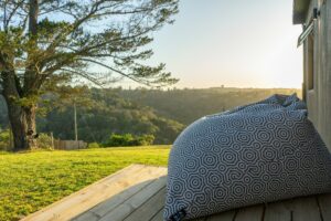 Scenic nature view framed by indigenous trees from the viewing deck at Views Over Wilderness luxury guest house accommodation.